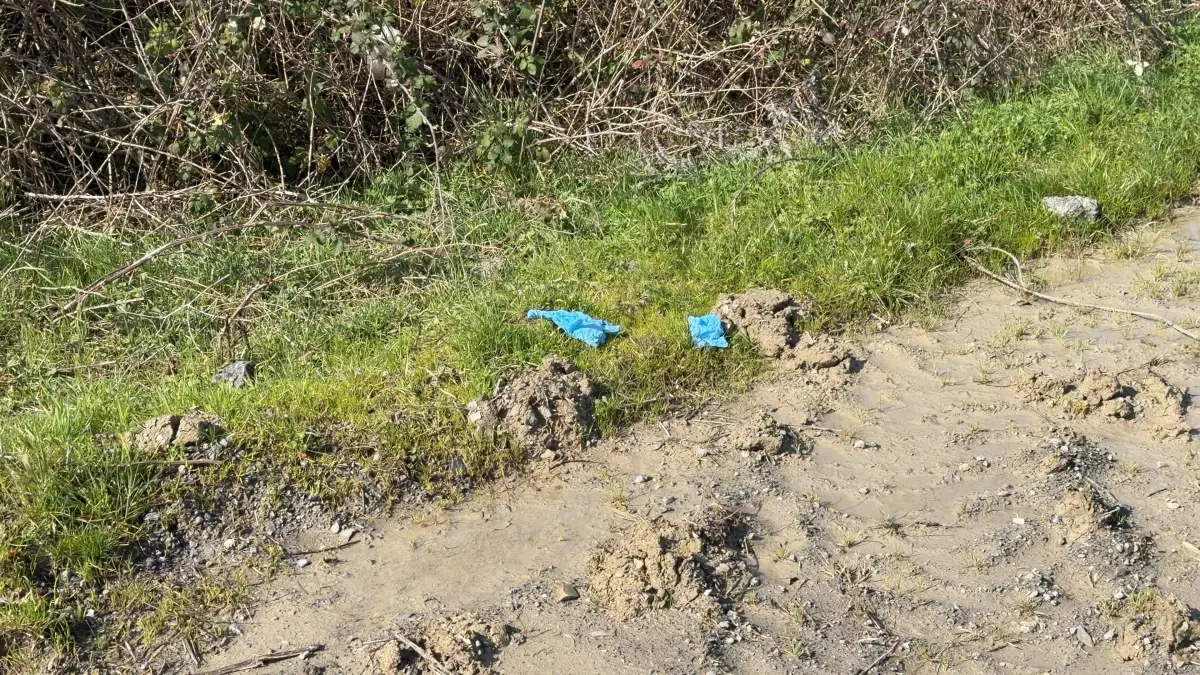 Çinli iş insanının cesedi elleri ve ayakları bağlı toprağa gömülü bulundu